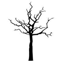 Picture of WA003