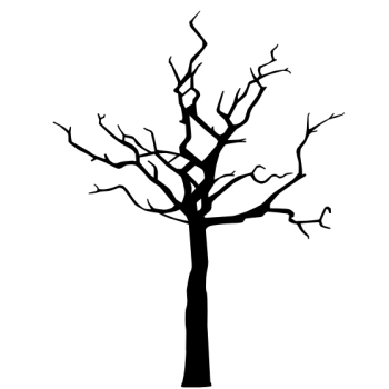 Picture of WA003