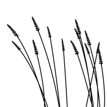 Picture of WA008