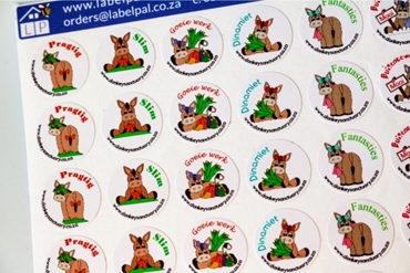 Picture for category Donkey Sanctuary
