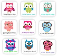 Zulu stickers-Cishe Washo khon-Owl theme, close-up picture